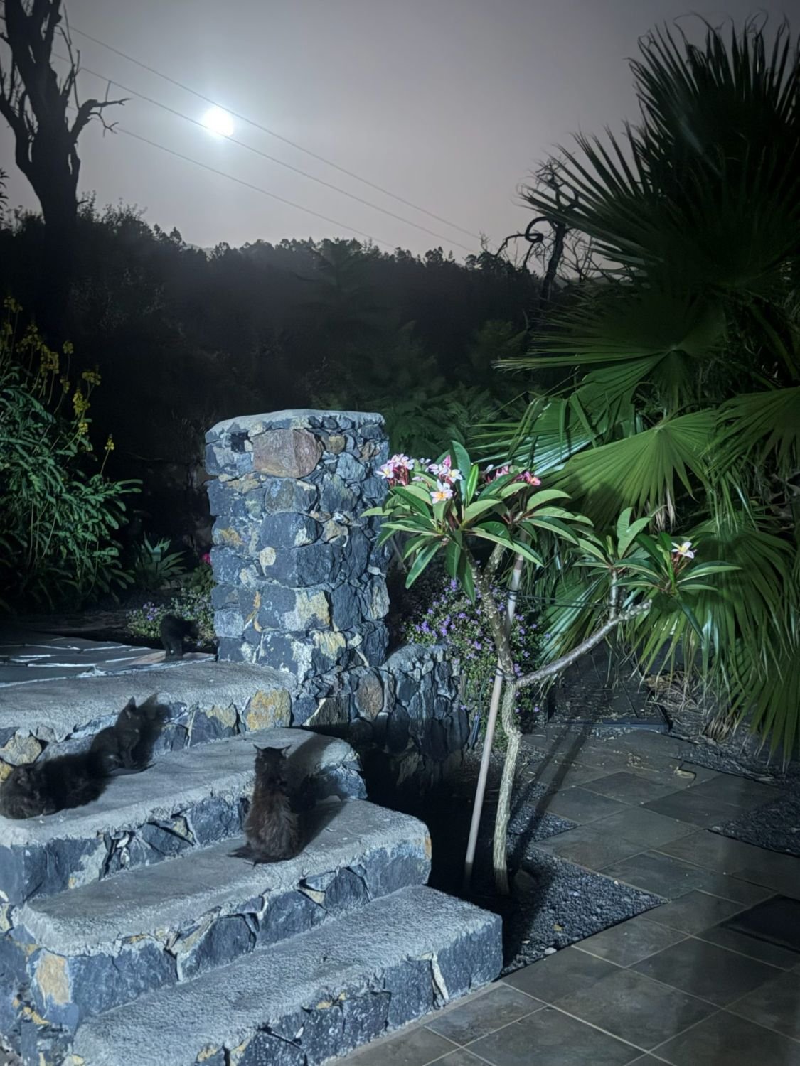 Garten und Anlage der Finca bei Nacht