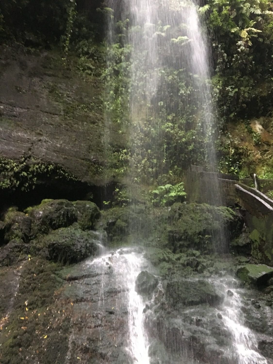 Wasserfall im grünen Lorbeerwald
