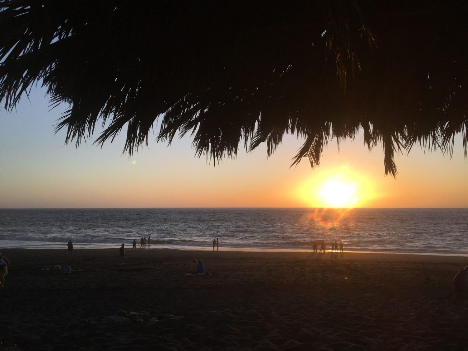 Sonnenuntergang am schwarzen Strand mit Palmenblättern